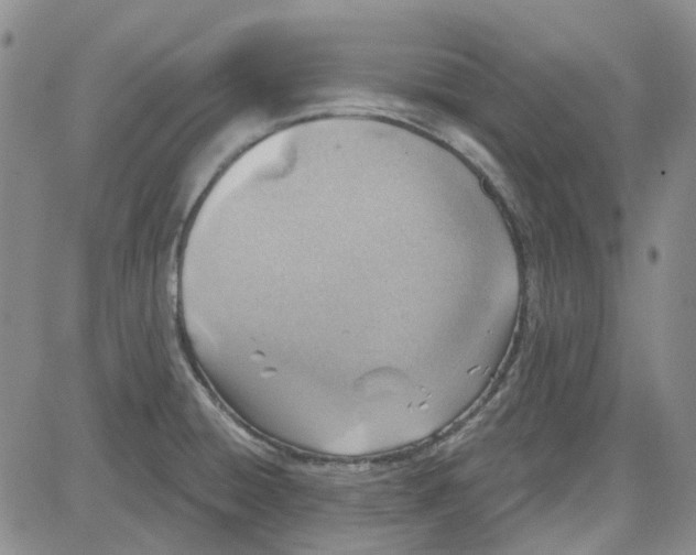 X0000080721428200701051023