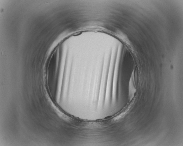 X0000080721430200701051023