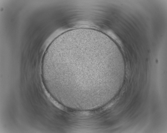 X0000080721431200701051023