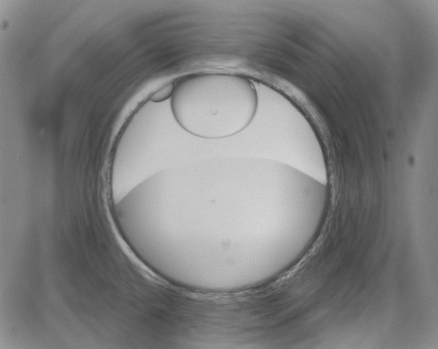 X0000080721432200701051023