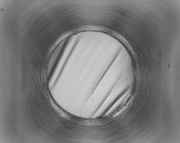 X0000080721433200701051023