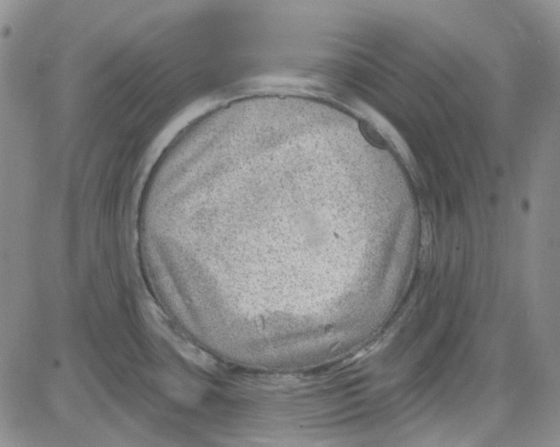 X0000080721435200701051023