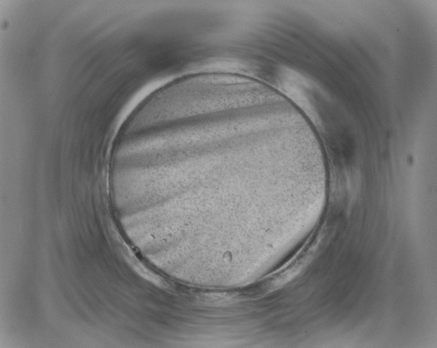 X0000080721436200701051023