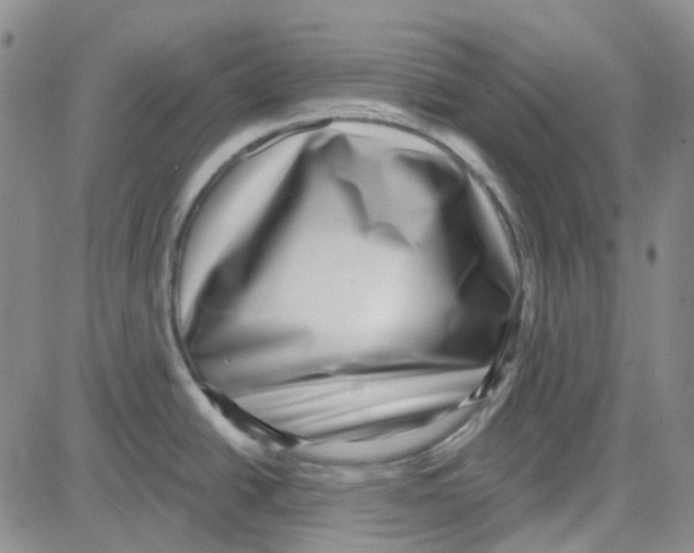 X0000080721438200701051023