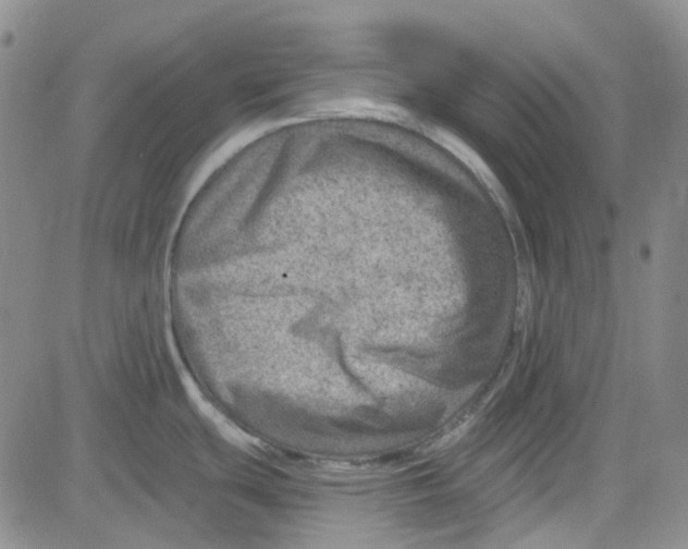 X0000080721439200701051023