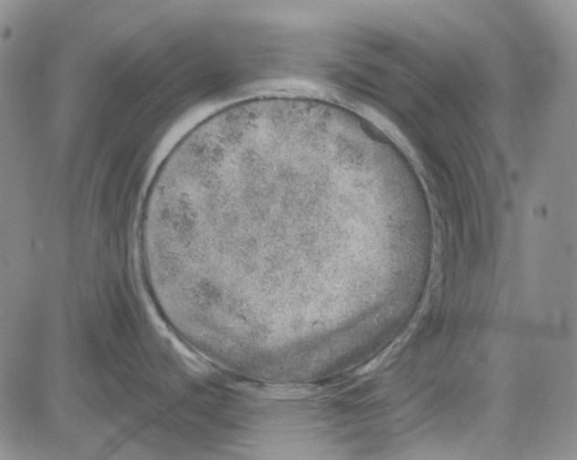 X0000080721440200701051023