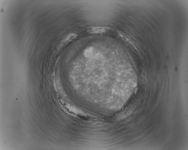 X0000080721441200701051022