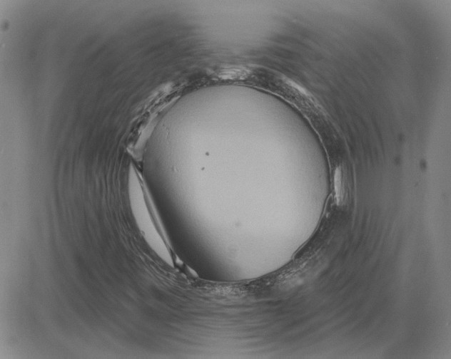 X0000080721443200701051022