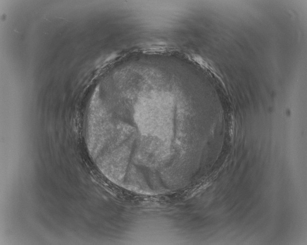 X0000080721445200701051022