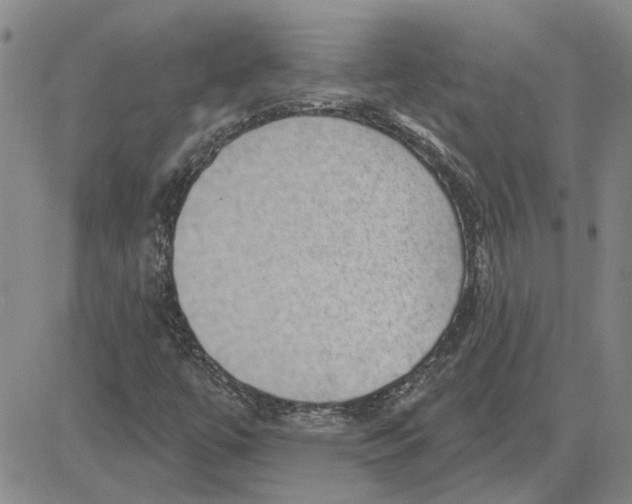 X0000080721447200701051022