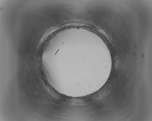 X0000080721448200701051022