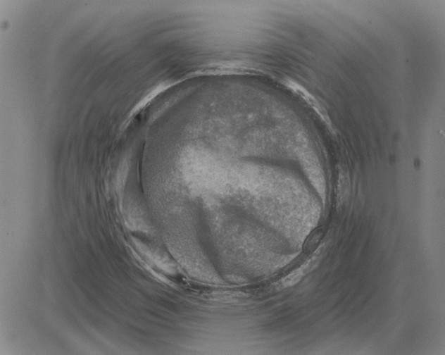 X0000080721449200701051022