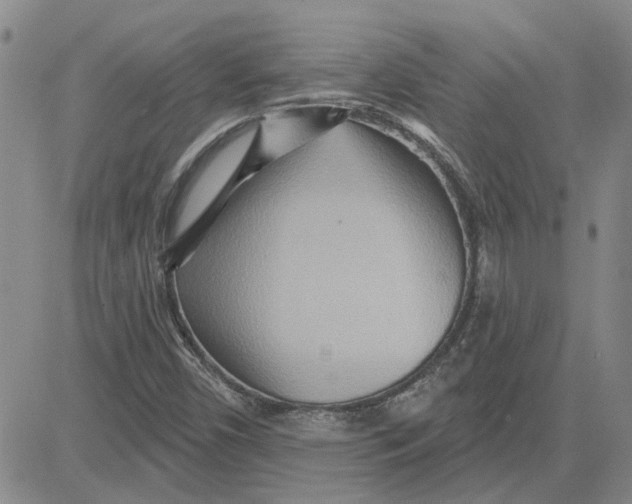 X0000080721450200701051022