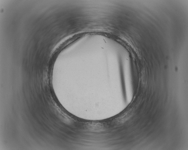 X0000080721452200701051022