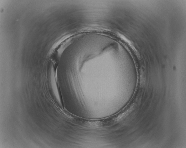 X0000080721453200701051022