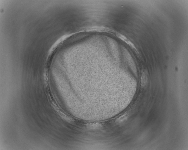 X0000080721454200701051022