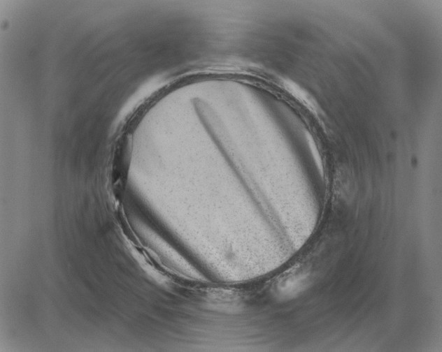 X0000080721456200701051022