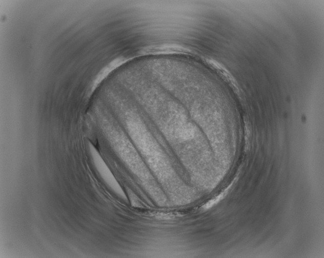 X0000080721457200701051022