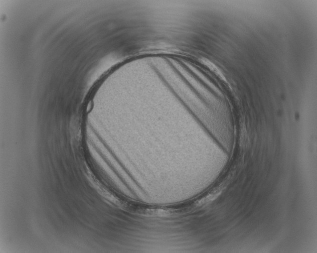 X0000080721458200701051022