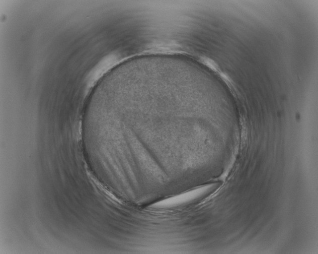 X0000080721459200701051022