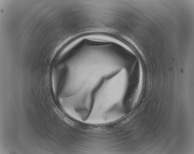 X0000080721460200701051022