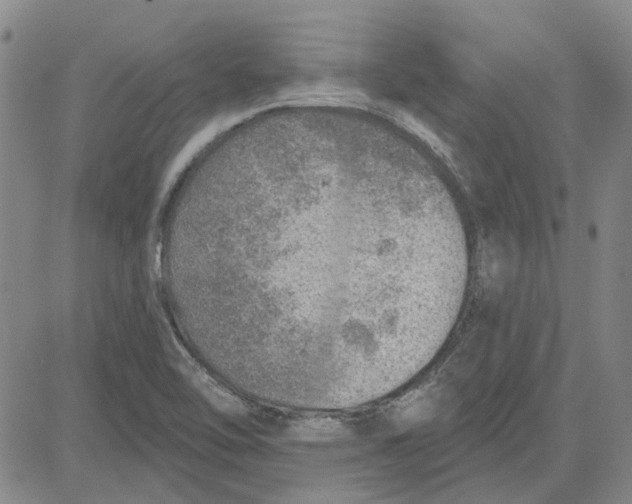 X0000080721462200701051022