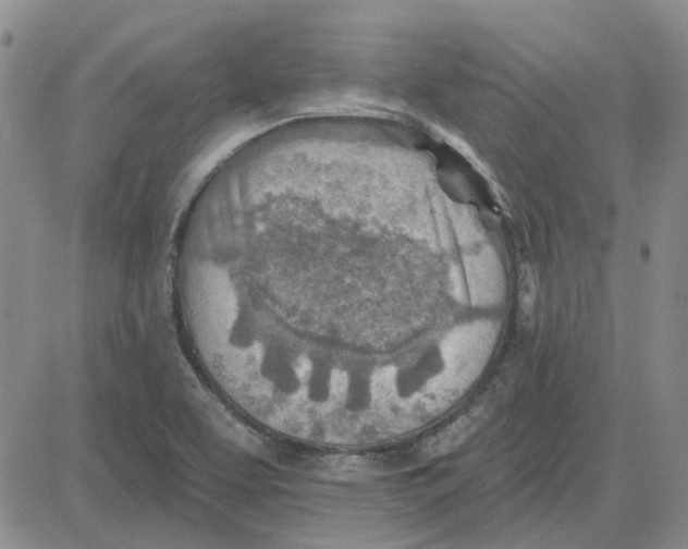 X0000080721463200701051022