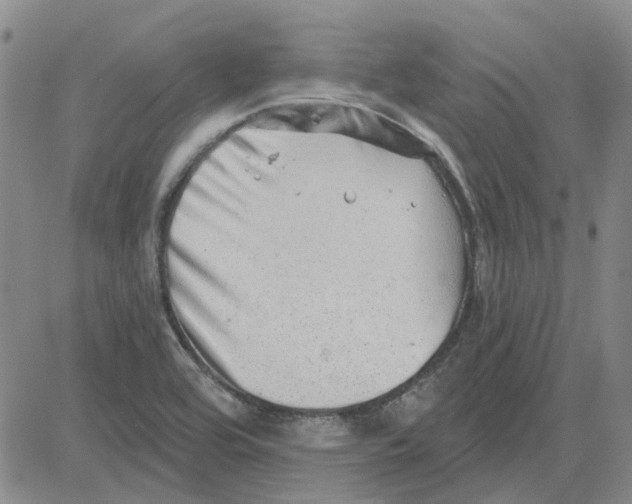 X0000080721464200701051022