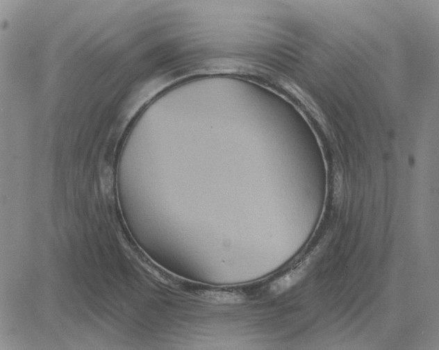 X0000080721465200701051022