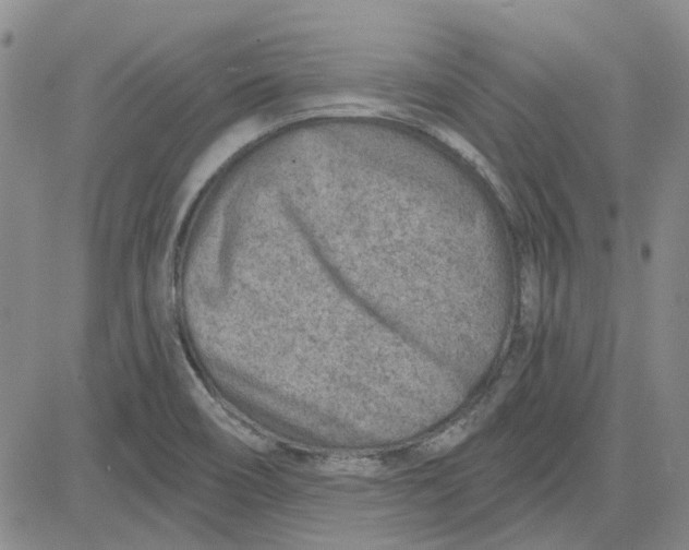 X0000080721466200701051022