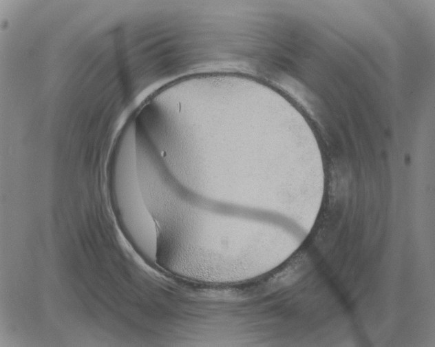 X0000080721468200701051022