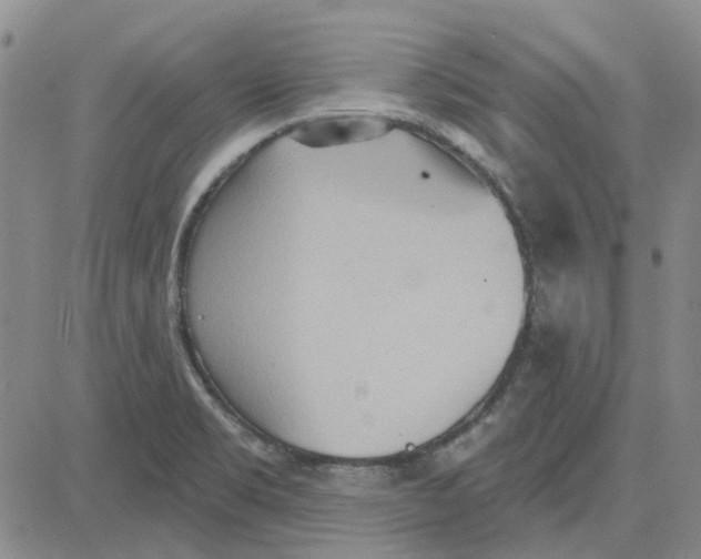 X0000080721469200701051022