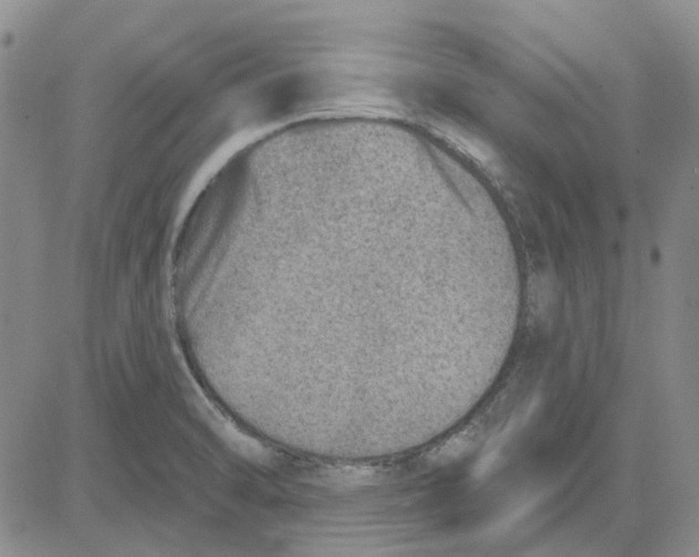 X0000080721470200701051022