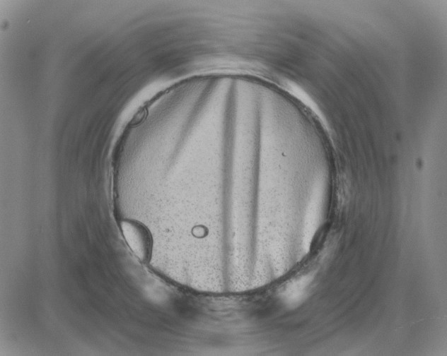 X0000080721472200701051022