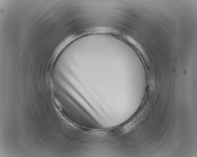 X0000080721473200701051022