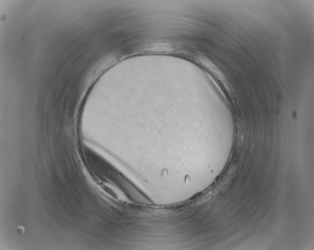 X0000080721475200701051022