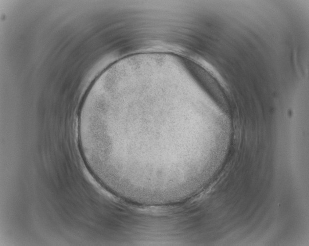 X0000080721476200701051022