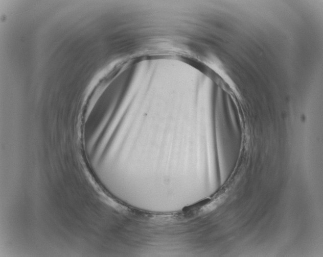 X0000080721477200701051022