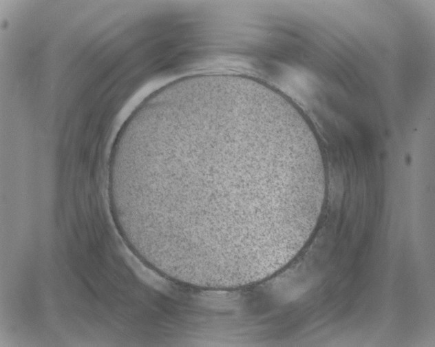 X0000080721478200701051022