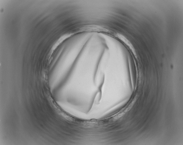 X0000080721481200701051022