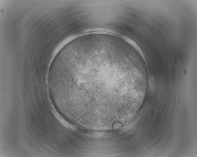 X0000080721482200701051022