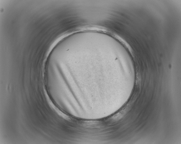 X0000080721483200701051022