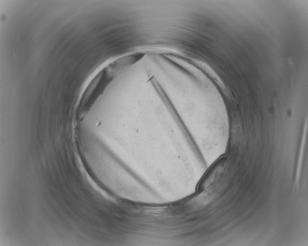 X0000080721484200701051022