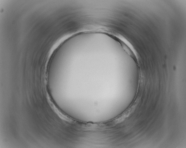 X0000080721485200701051022