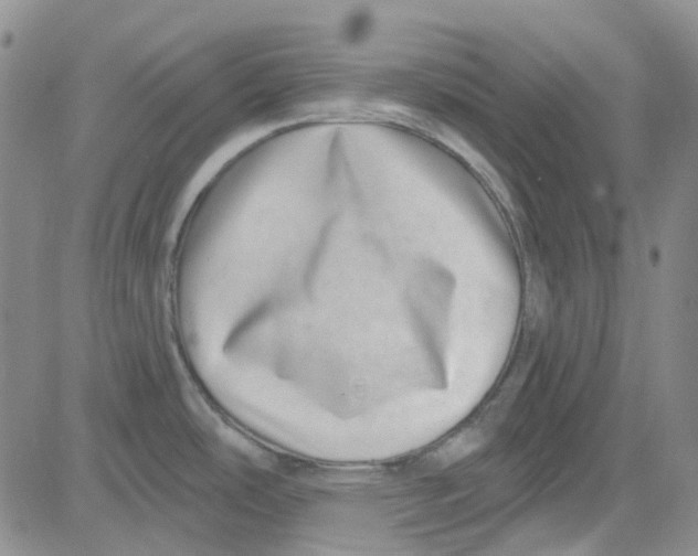 X0000080721486200701051022