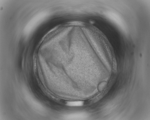 X0000080721487200701051022