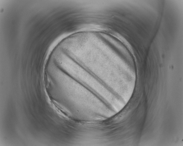 X0000080721488200701051022