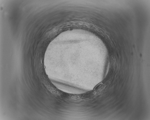 X0000080721489200701051021