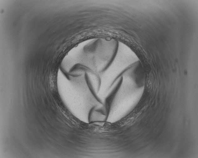 X0000080721490200701051021