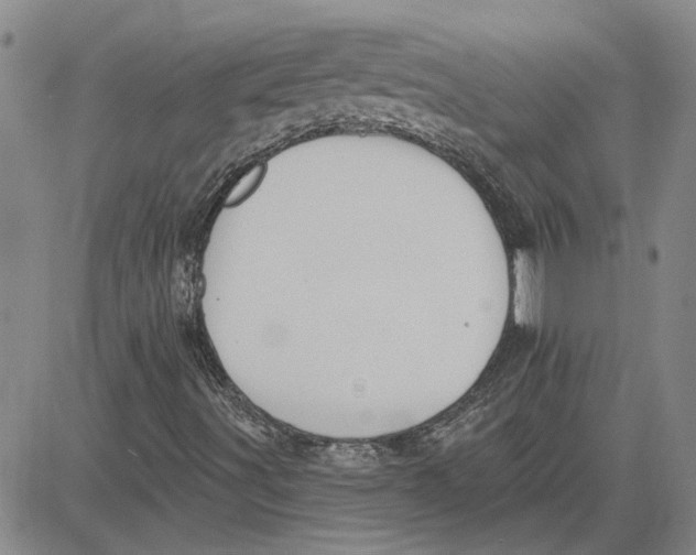 X0000080721491200701051021